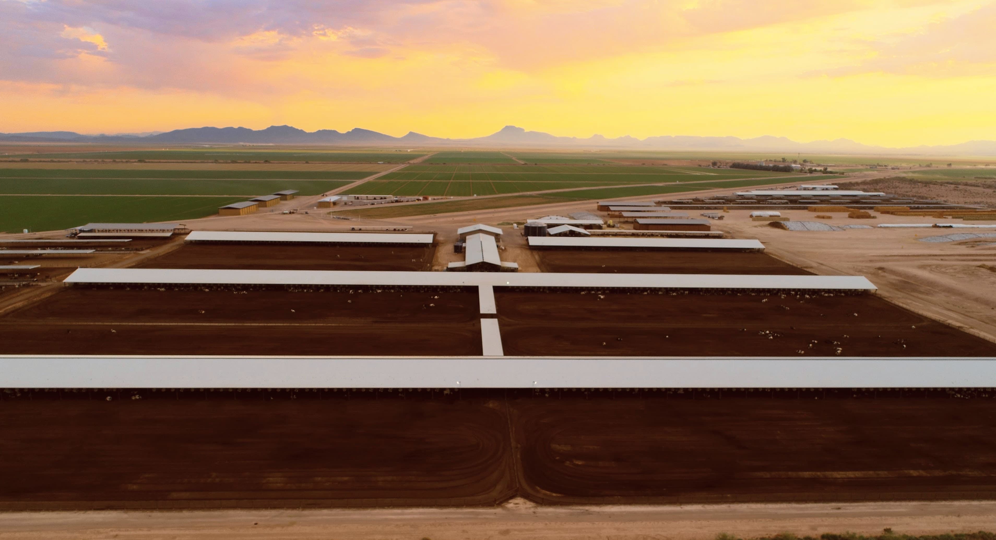 Aerial view of Arizona Dairy Co facilities at sunset